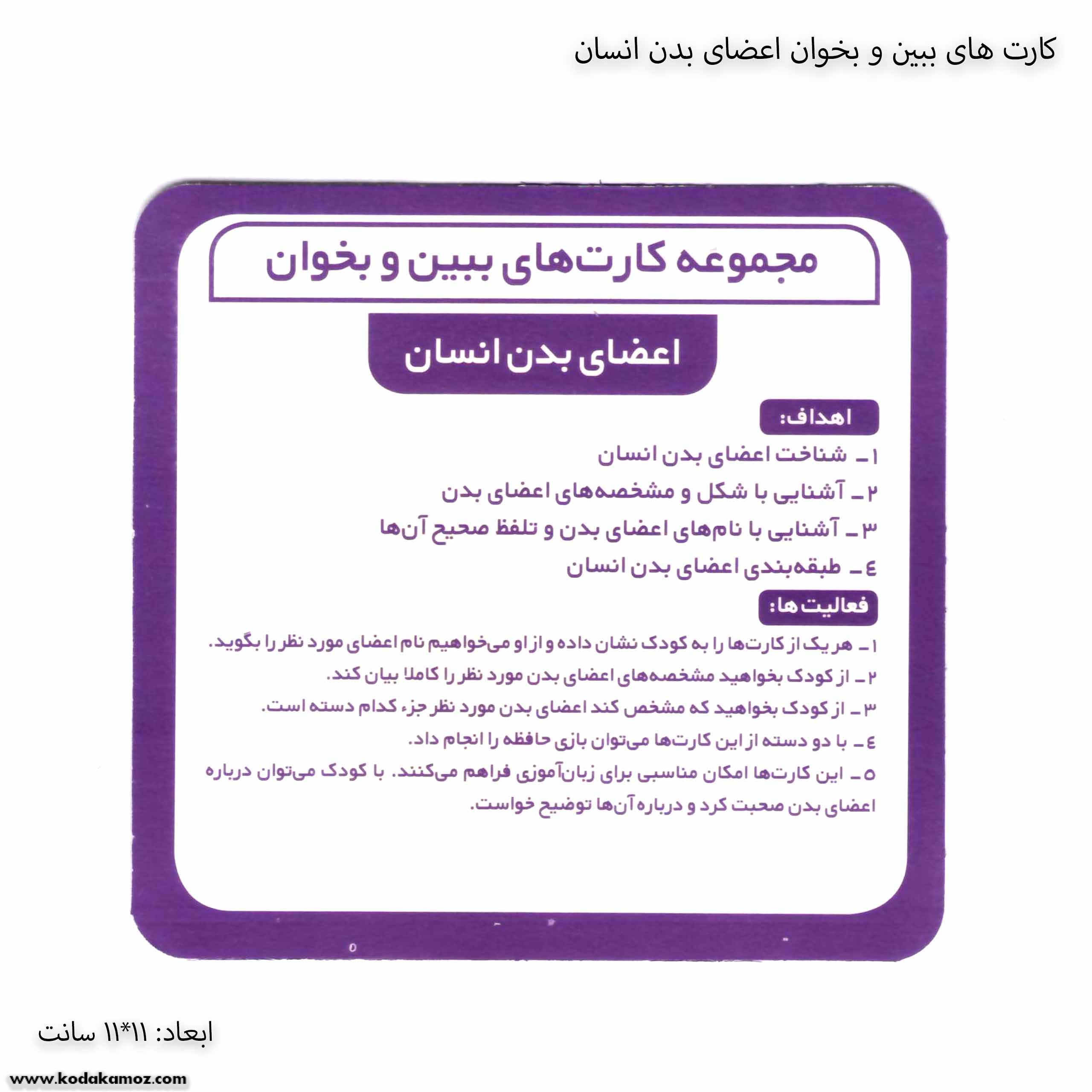 کارت های ببین و بخوان اعضای بدن انسان 1