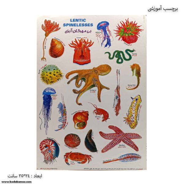 برچسب آموزشی بی مهرگان آبزی