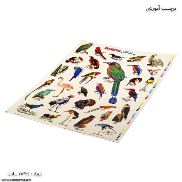 برچسب آموزشی پرندگان کج