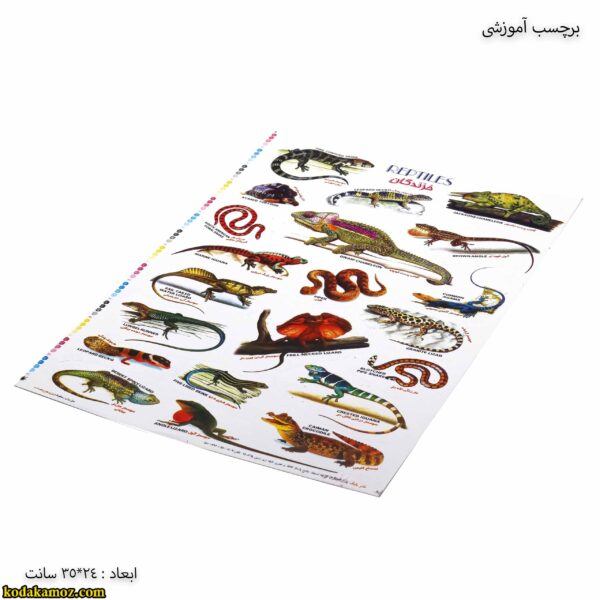 برچسب آموزشی خزندگان