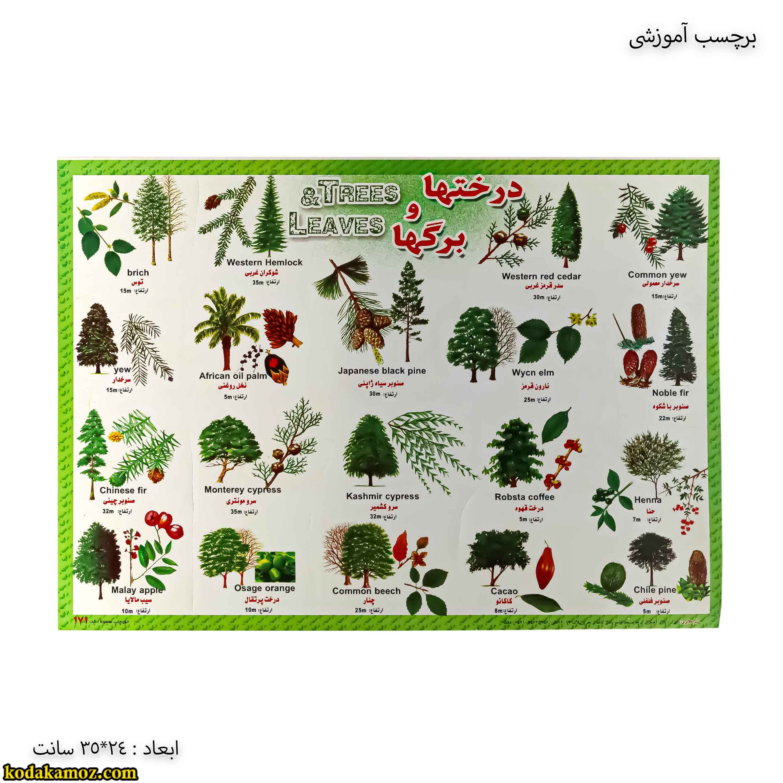 برچسب آموزشی درخت ها و برگ ها برچسب آموزشی درخت ها و برگ ها