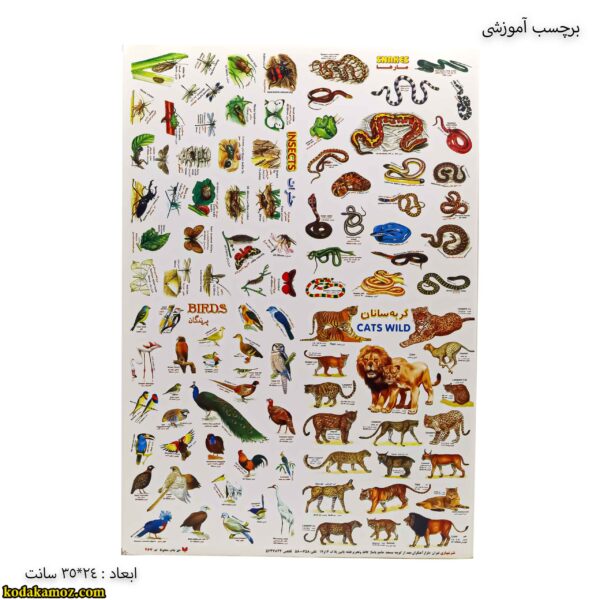 برچسب آموزشی پرندگان - مارها - پرندگان - حشرات