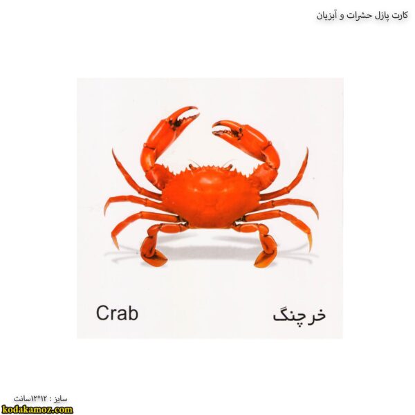حشرات و آبزیان 6